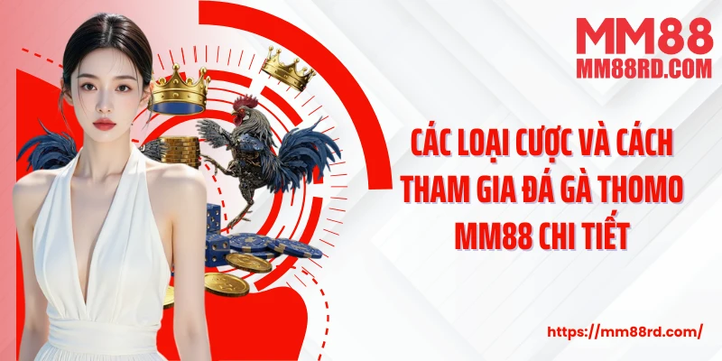 Các loại cược và cách tham gia đá gà Thomo MM88 chi tiết