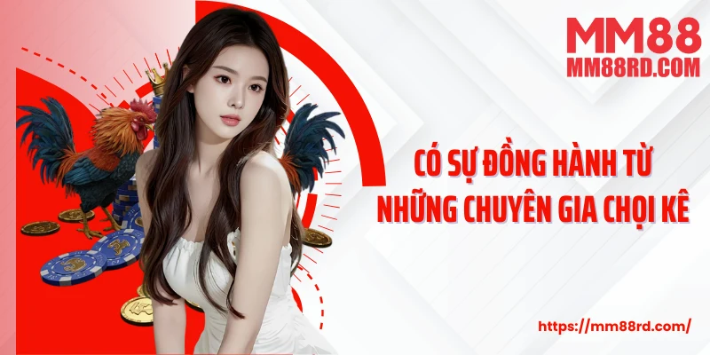 Có sự đồng hành từ những chuyên gia chọi kê