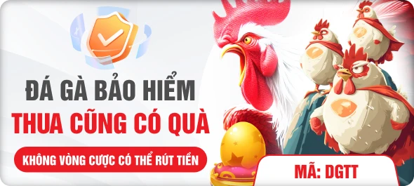 Đá gà bảo hiểm thua cũng có quà