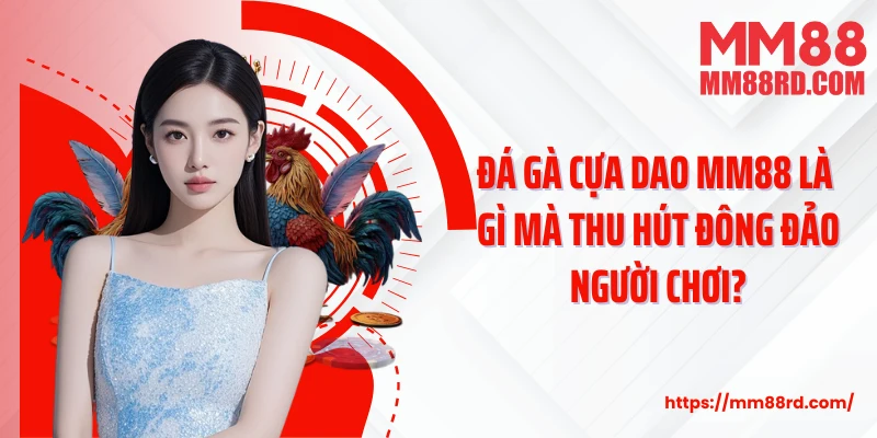 Đá gà cựa dao MM88 là gì mà thu hút đông đảo người chơi?