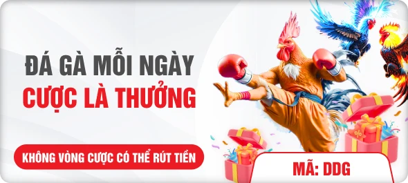 Đá gà mỗi ngày cược là thưởng