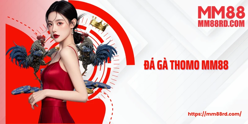 Đá Gà Thomo Mm88: Kịch Tính Từng Trận, Thắng Lớn Từng Hiệp