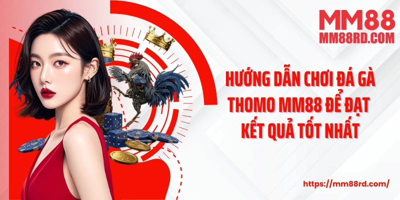 Hướng dẫn chơi đá gà Thomo MM88 để đạt kết quả tốt nhất
