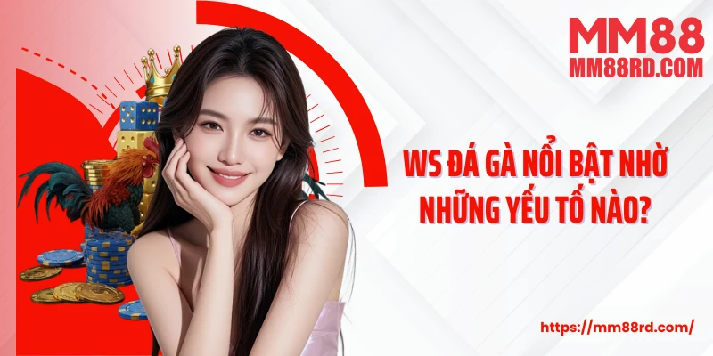 WS Đá Gà nổi bật nhờ những yếu tố nào?